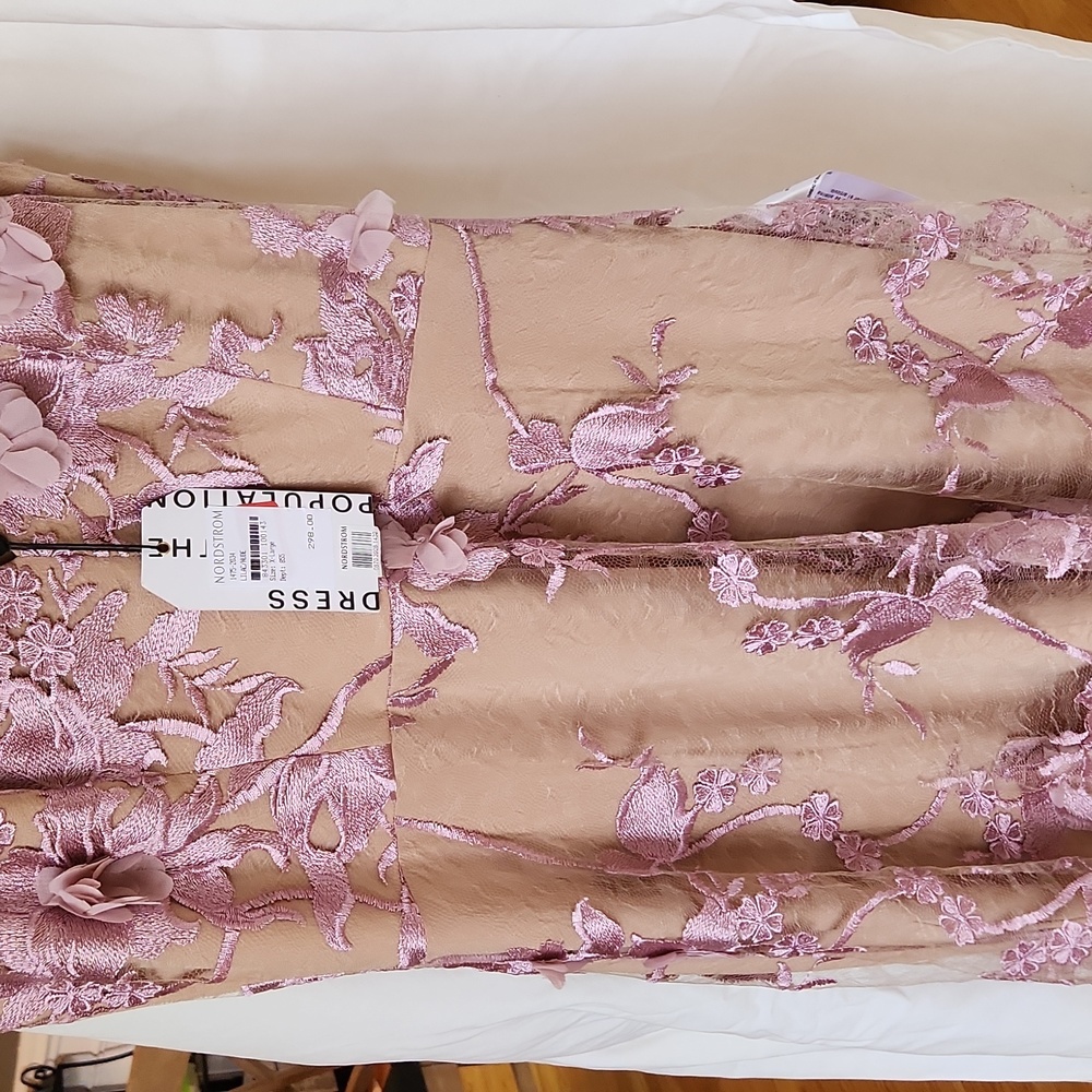 NWT Dress The Population Audrey Fit & Flare Sheer Lace Floral Appliqué Womens XL - Picture 3 of 5
